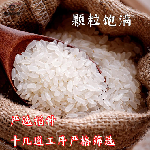 稻渔空间【米爹的心意】有机蟹田米10斤赠送红色帆布手提袋 商品图1