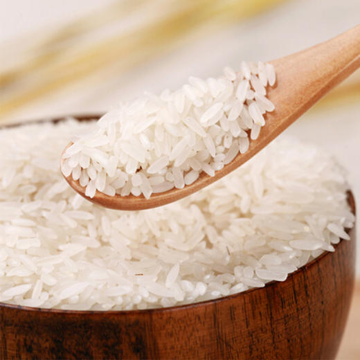 【广垦优品】广垦经典梅陇香米5kg 商品图3