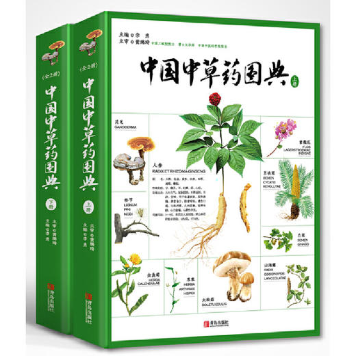 中国中草yao图典 套装2册 复兴书社旗舰店