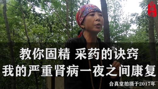 教你固精，采药的诀窍｜我的严重肾病一夜之间康复二 商品图0