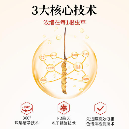 【会员秒杀】东阳光冬虫夏草 冻干虫草4根装 商品图2