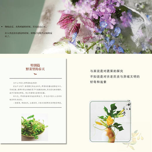 一日一蔬 好菜如花 厨花君 著 家庭园艺书籍 商品图5