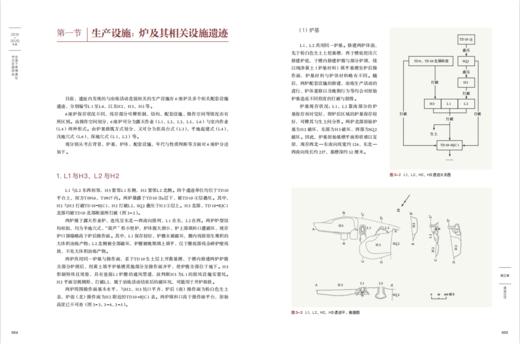 安溪下草埔遗址2019~2020年度考古发掘报告 商品图4