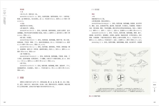 安溪下草埔遗址2019~2020年度考古发掘报告 商品图6