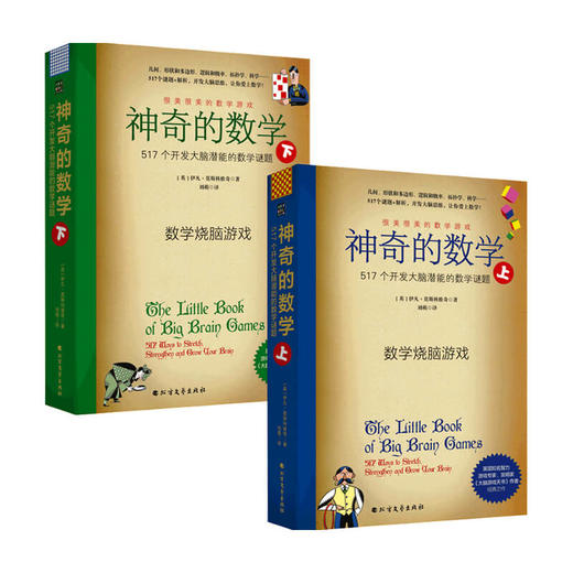 神奇的数学 517个开发大脑潜能的数学谜题 升级版上下 数学烧脑游戏 开发脑力创造力 益智游戏 小学初高中数学知识趣味题 商品图0