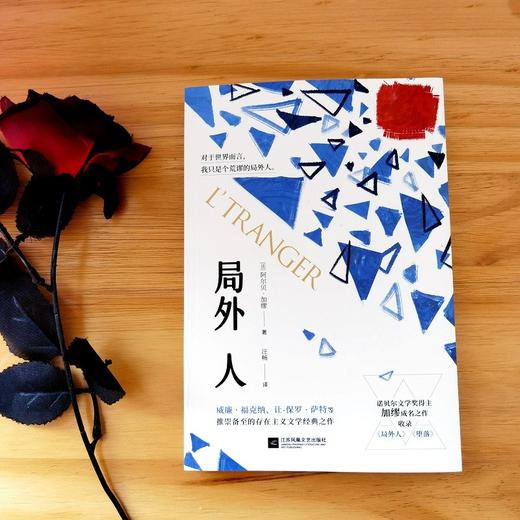 局外人 阿尔贝加缪 著 外国文学经典小说 商品图3
