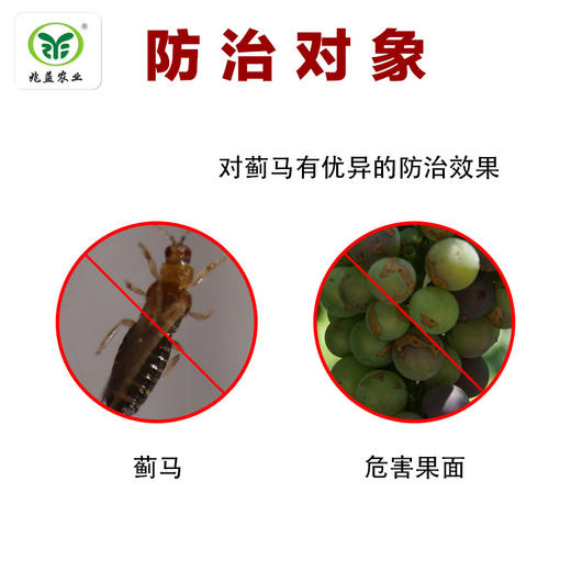 艾绿士杀灭蓟马对葡萄上蓟马有良好防治效果