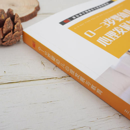 0-3岁婴幼儿心理发展与教育 新标准早期教育专业系列教材 商品图2