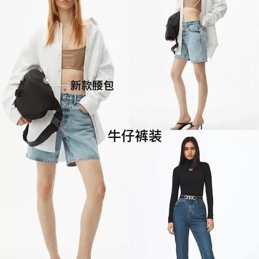 价值3900 zheng品级 福利款！压力山大王A1exanderwang新款轻便尼龙logo刺绣attica健身包/大容量胸包/腰包 男女同款 百搭时尚 实用轻盈 预售 商品图1