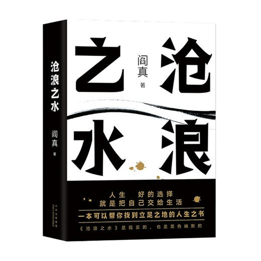沧浪之水 阎真 著 中国文学小说 入围茅盾文学奖 一本可以帮你找到立足之地的人生之书 商品图0