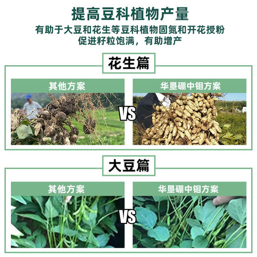 华垦硼中钼糖醇硼肥钼肥叶面肥保花保果壮籽饱满补硼补钼固氮包邮 商品图3