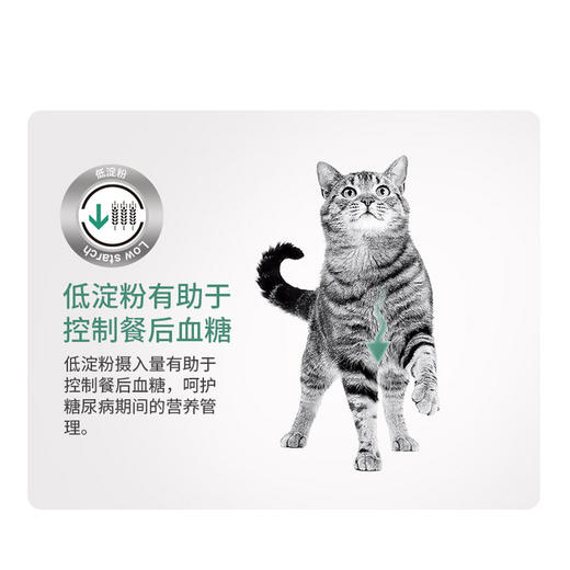 皇家 处方猫粮 DS46 适用于糖尿病 1.5kg 成猫用  商品图3