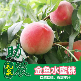 【陕西】金鱼水蜜桃10斤】