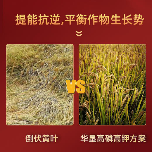 湖南华垦高磷高钾小麦水稻果树蔬菜花生磷酸二氢钾膨果增产叶面肥 商品图2