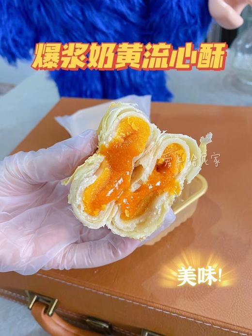 月饼流心系列代理试吃装（预售） 商品图10