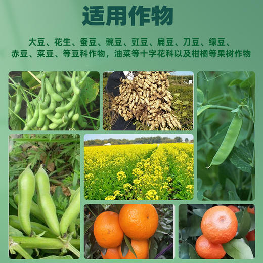 华垦硼中钼糖醇硼肥钼肥叶面肥保花保果壮籽饱满补硼补钼固氮包邮 商品图1