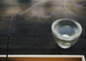 辟温香用户反馈 | 新品预售中