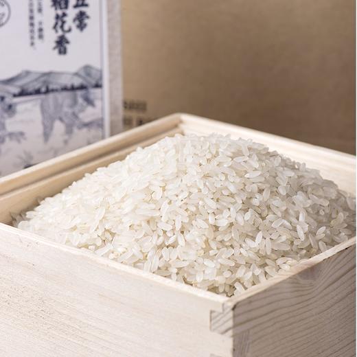 挑时有机五常大米 稻花香2号 每周碾米 新鲜现发 10斤装 商品图2