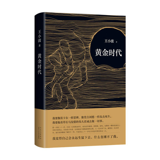 【赠精美藏书票】黄金时代 王小波著 中国现当代经典小说 附录收入2篇长文 内封重新设计 商品图4
