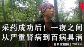 免费：采药成功后！一夜之间从严重肾病到百病具消