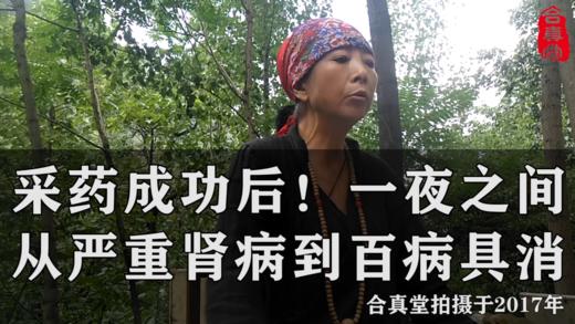 免费：采药成功后！一夜之间从严重肾病到百病具消 商品图0