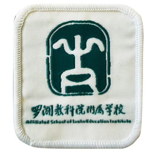 深圳罗湖区科教院附属学校小学运动服校服 商品图0