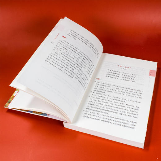 诗词里的家国天下：中华历代爱国诗词精选精读 商品图10