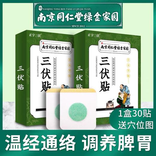 南京同仁堂正字三伏贴 商品图1