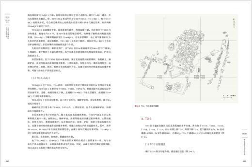安溪下草埔遗址2019~2020年度考古发掘报告 商品图3