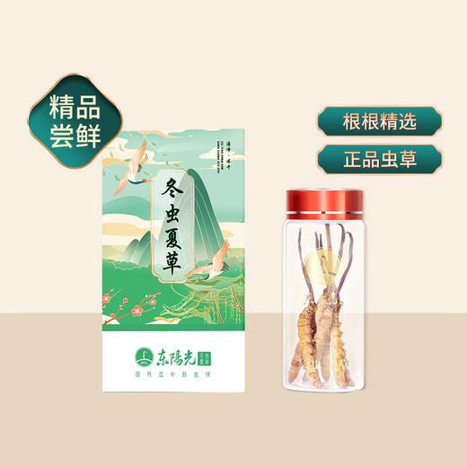 【会员秒杀】东阳光冬虫夏草 冻干虫草4根装 商品图0