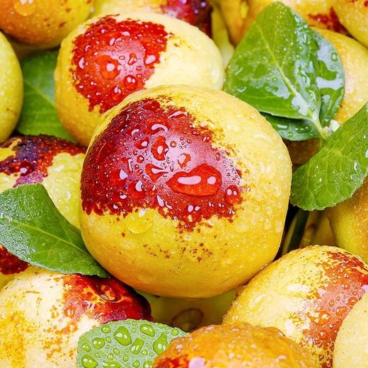 脆枣鲜枣新鲜 商品图4