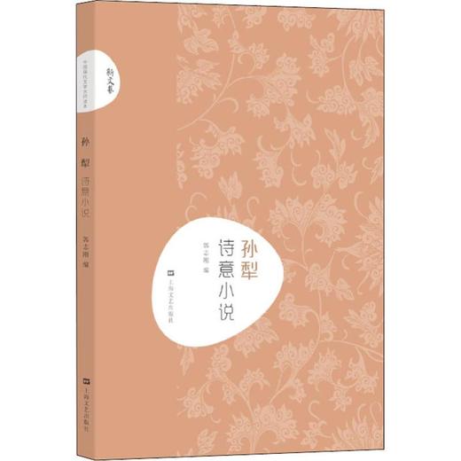 孙犁 诗意小说 商品图0