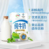 伊利纯牛奶【250ml】 商品缩略图2