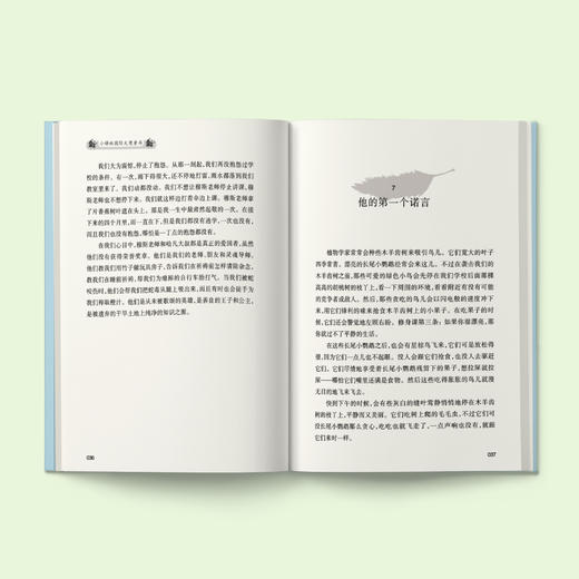 《天虹战队小学》 商品图2