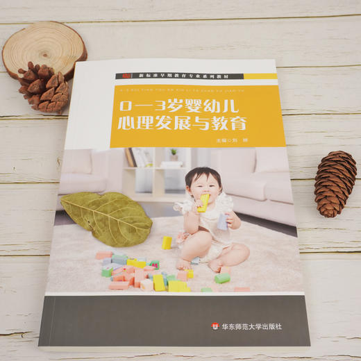0-3岁婴幼儿心理发展与教育 新标准早期教育专业系列教材 商品图1