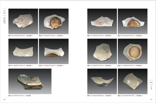 安溪下草埔遗址2019~2020年度考古发掘报告 商品图7