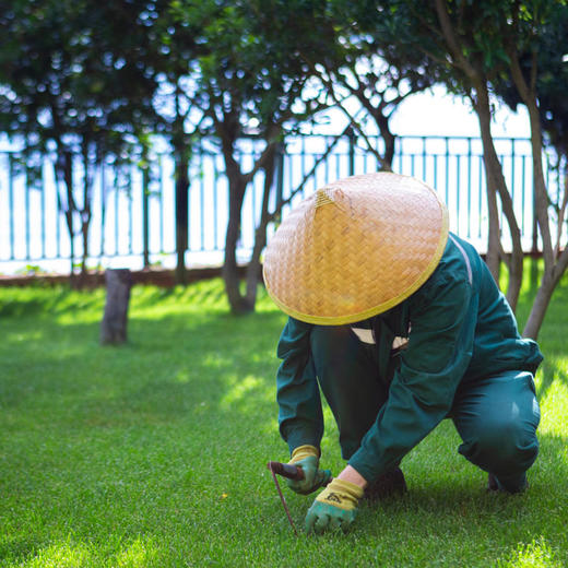 【家政管养】20㎡花园单次修剪 商品图1
