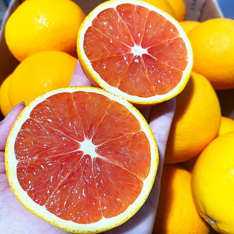 南非红宝石血橙