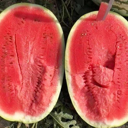 新疆大西瓜当季水果5斤起购沙瓤新鲜1.2元/500g