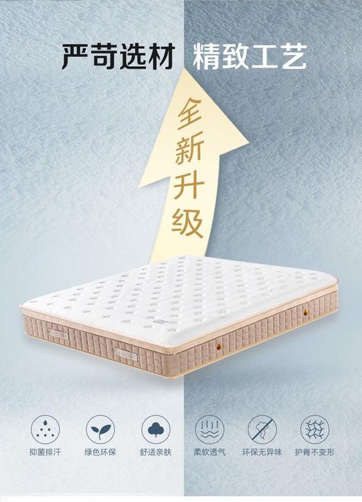 【深睡好物】维也纳八代床垫 零压力亲水棉 独立弹簧互不干扰 双面可用（尺寸可选） 商品图2