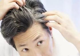 白头发的部位：头发白在哪儿，疾病跟在哪儿