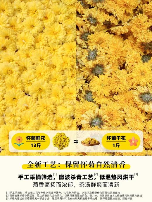 【第二罐半价】怀府街正宗怀菊花河南焦作特产冰菊黄菊花 商品图2