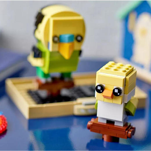 JJ乐高40443 鹦鹉 商品图2