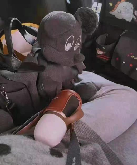 thyseed世喜保温杯杯套（两种颜色） 商品图0