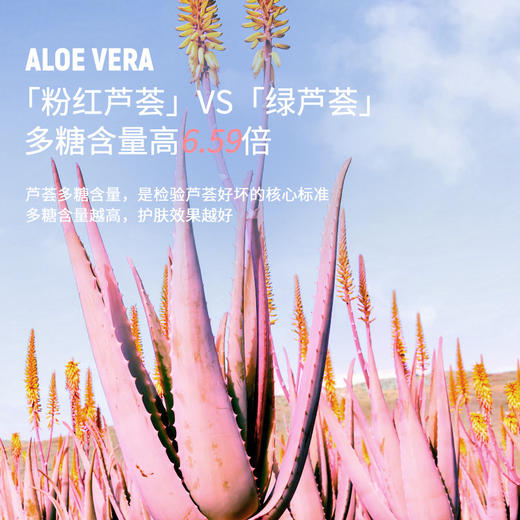 【买一送一】sakose凡士林粉红芦荟胶 商品图3