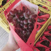 【9.9元2斤±50g】茉莉香葡萄（1500120） 商品缩略图1