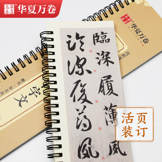 近距离临摹字卡-智永真草千字文 商品图3