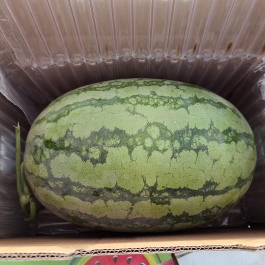 新疆吐鲁番金城大西瓜 10公斤左右（一个装） 商品图13