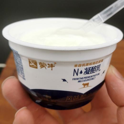 蒙牛酸奶原味凝酪乳140g\/盒风味酸牛乳凝固酸奶  商品图4
