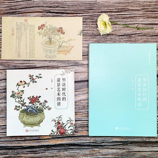 明清时代的盆景艺术图谱 99博物艺术志 家居园艺小资生活参考艺术手册3000935 商品图4